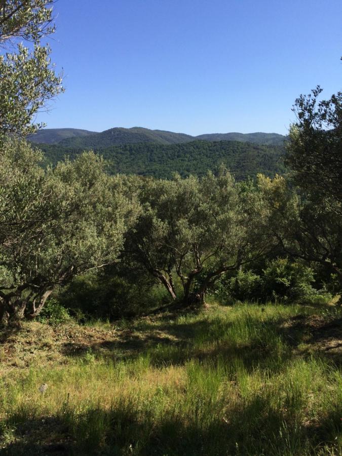 La Provence Authentique A 30 Minutes Des Plages Collobrieres Exterior photo